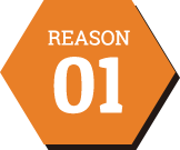 REASON01